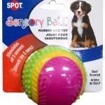 sensory ball