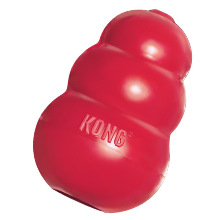 The Dog Geek: Puzzle Toy: Kong Wobbler